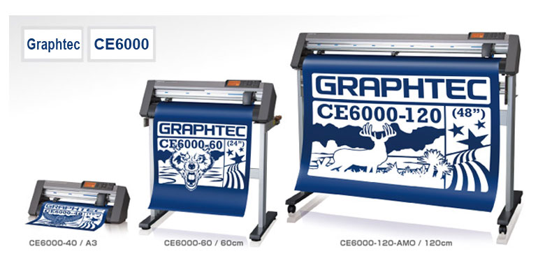 6000 -     